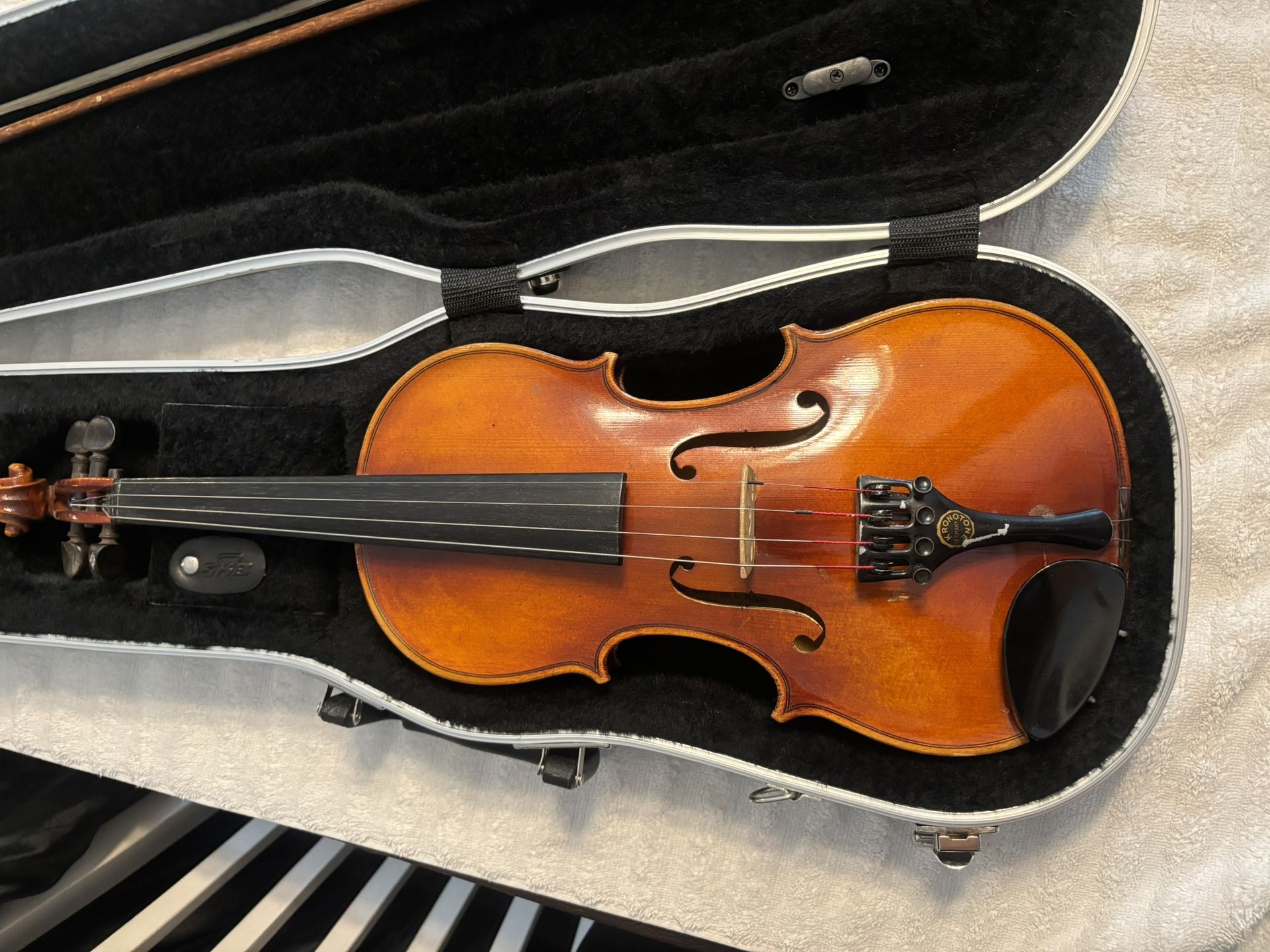 Violin