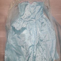Elsa Halloween Costume