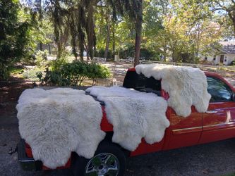 Real lambskin rugs