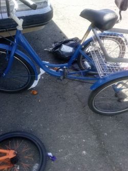 Adult 3 wheeler bike