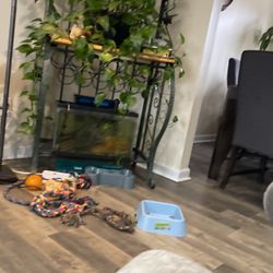 Fish 25 to 30