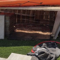 Dog Kennel