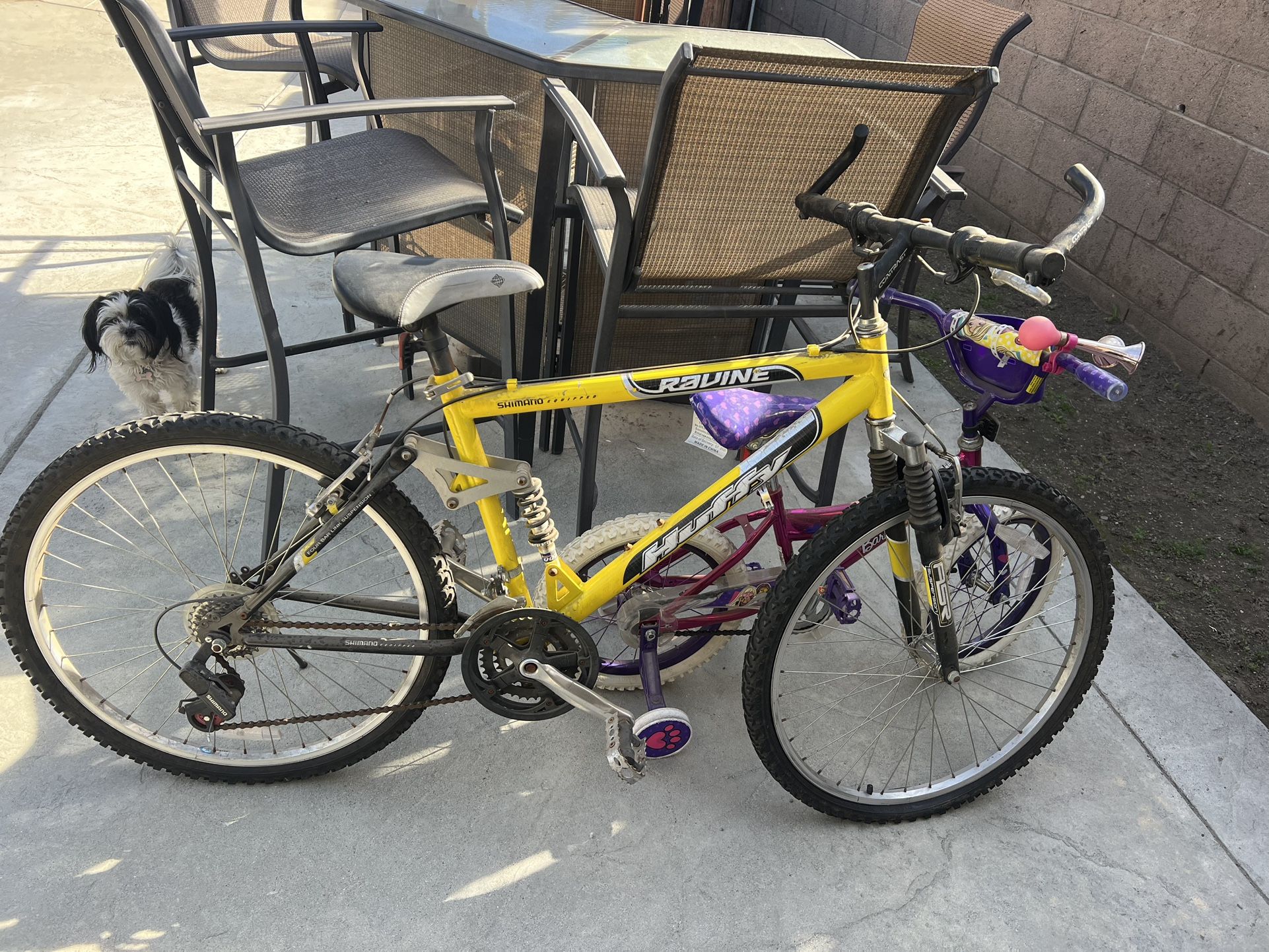 Bike In Good Conditions