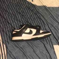 Nike Dunk Low Retro Nikes