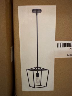 Black Metal Cage Pendant Light