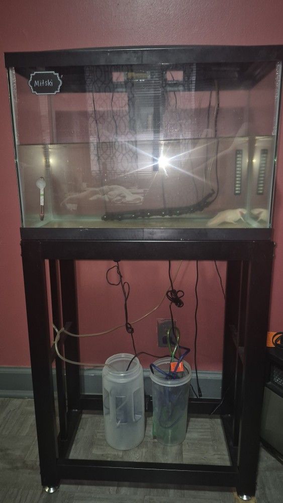 Fish Tank Stand