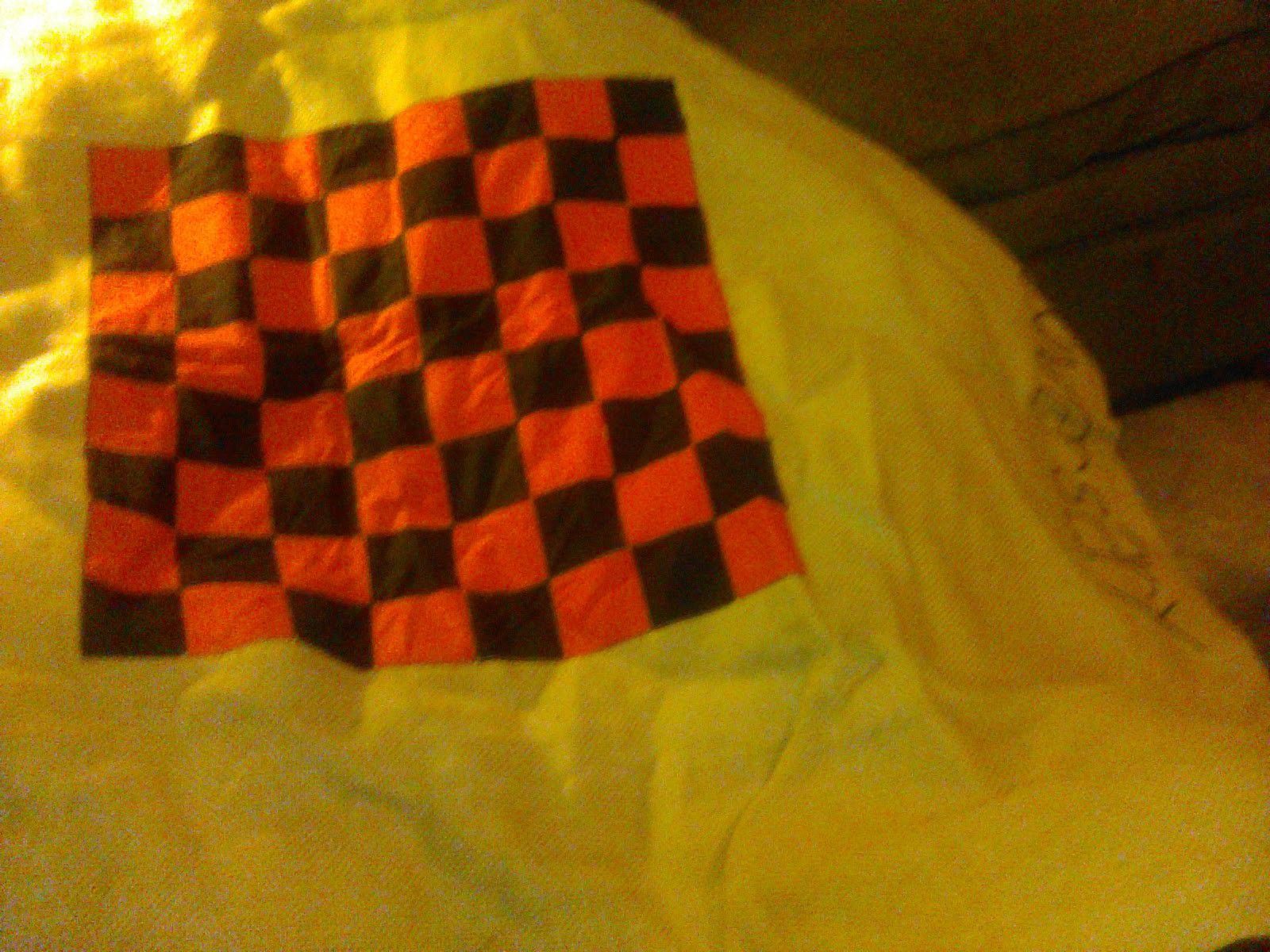 Cloth checker board do not have the chips . Great for game night park or just everyday play