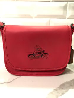 Disney Coach Bag