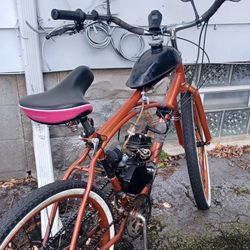 Motorized Bicycle