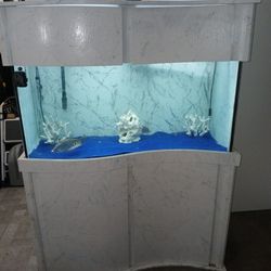 90 gallon fish Tank 