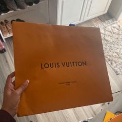 Louis Vuitton Bag