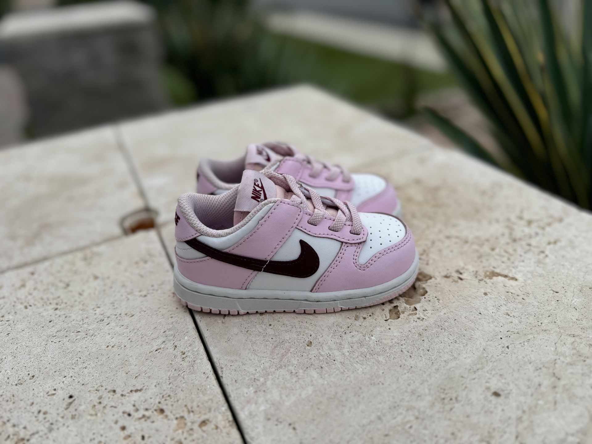 Toddler Nike Dunks 