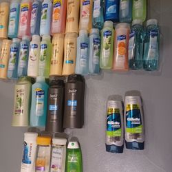 Shampoos Body Washes 4 Or 5 Dollars Each