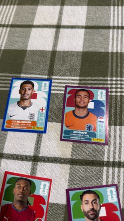 fifa panini world cup cards rare