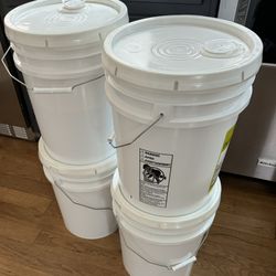 PURE HONEY 🍯 5 Gallons 