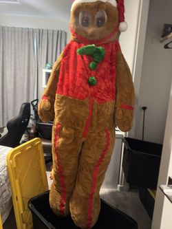 Christmas Costume - Adult Size