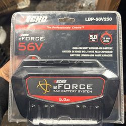 Echo eFORCE 56V High-Capacity 5.0Ah Lithium-Ion Battery LBP-56V250A