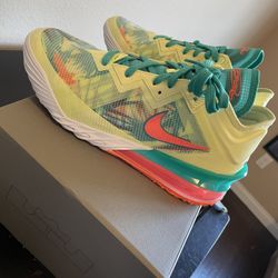 Nike Lebron 17