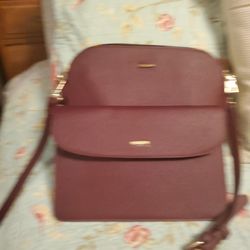 This is a really cute purse 2 and 1
