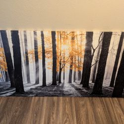 Large Canvas Wall Art Forest Picture
