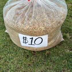 Wood Chips/ Saw Dust/ Acerrin