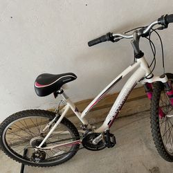 Schwinn Girls Mountain Bike 24”