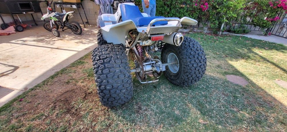 1986 Yamaha Warrior