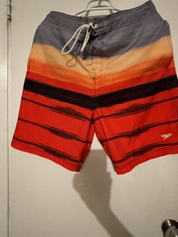 Mens Speedo Board Shorts
