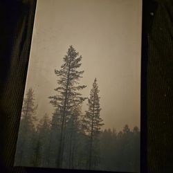 Canvas Art $5