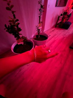 10k gold esclava/bracelet