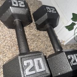20 Lb Dumbells Cast Iron