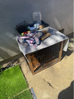 Small dog house
