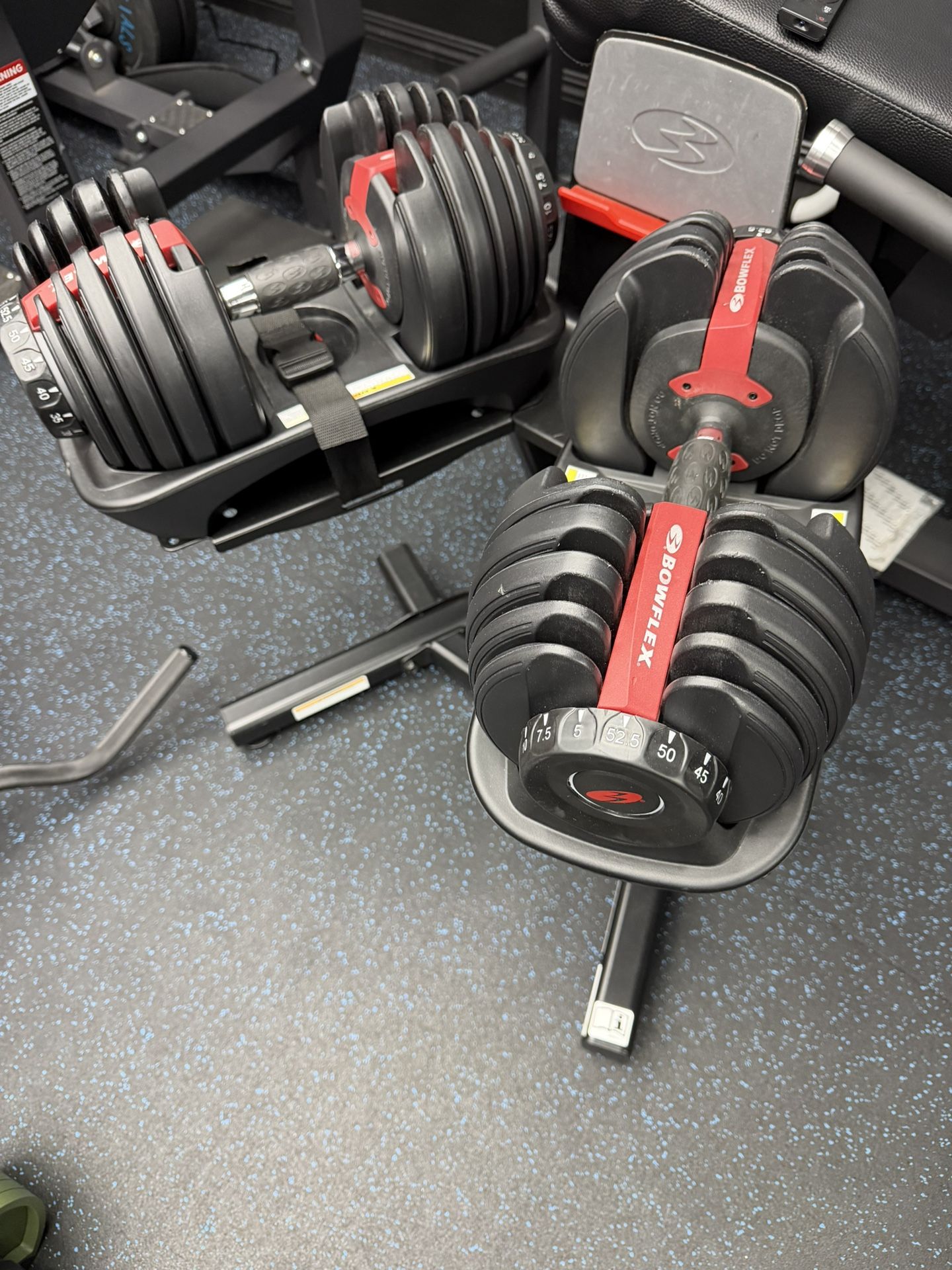 BowFlex Results Series 552 SelectTech Dumbbells (Pair) with Stand 