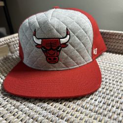 NEW Chicago Bulls Adjustable Hat