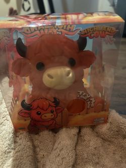 trade good jumbo squishy’s like cheese peach Willing to trade good jumbo squishy’s like cheese peach