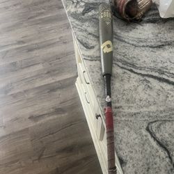 32 Inch Demarini goods