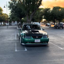 2000 Mustang 