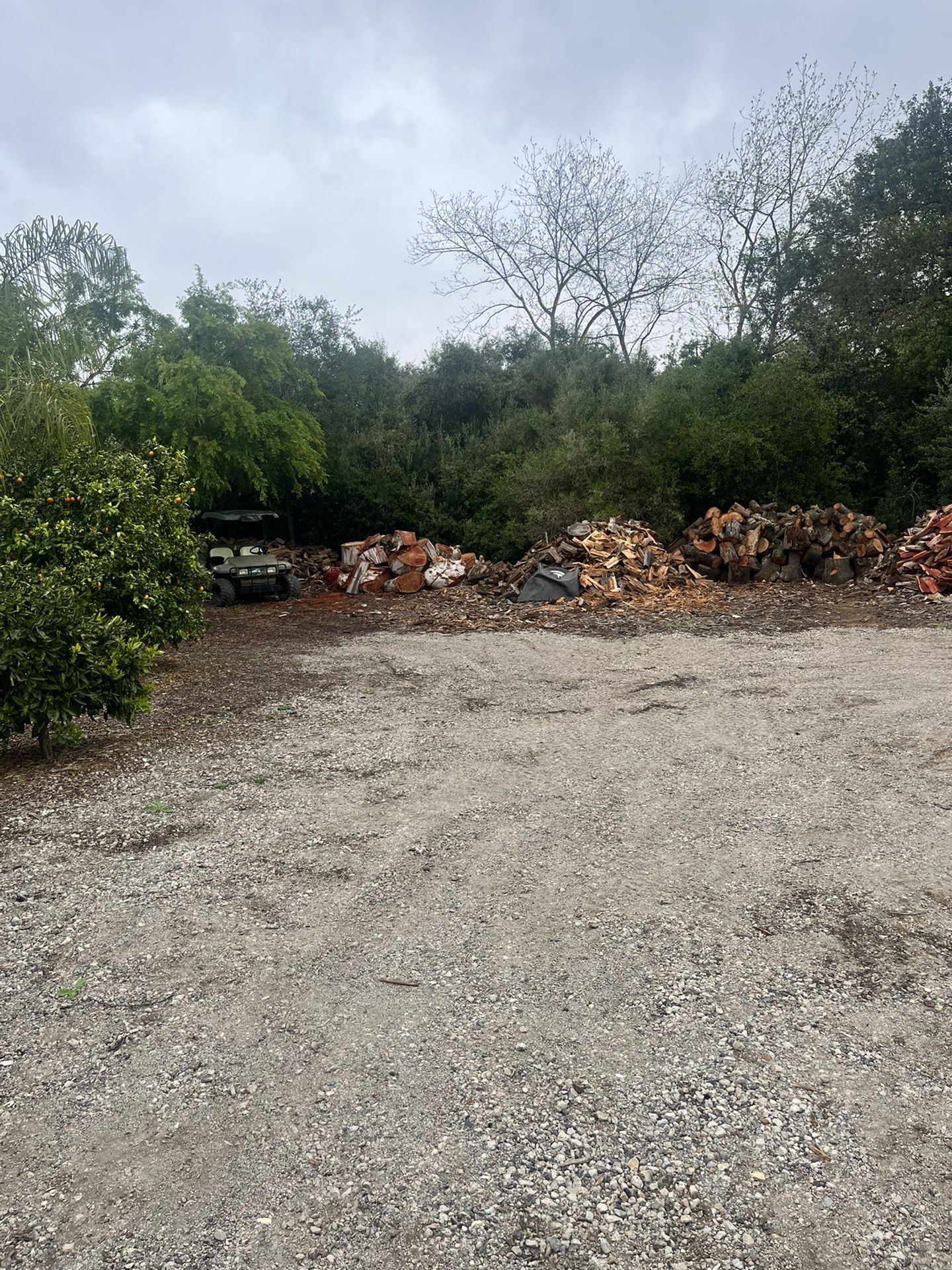 Firewood 