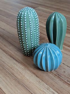 Cacti decoration