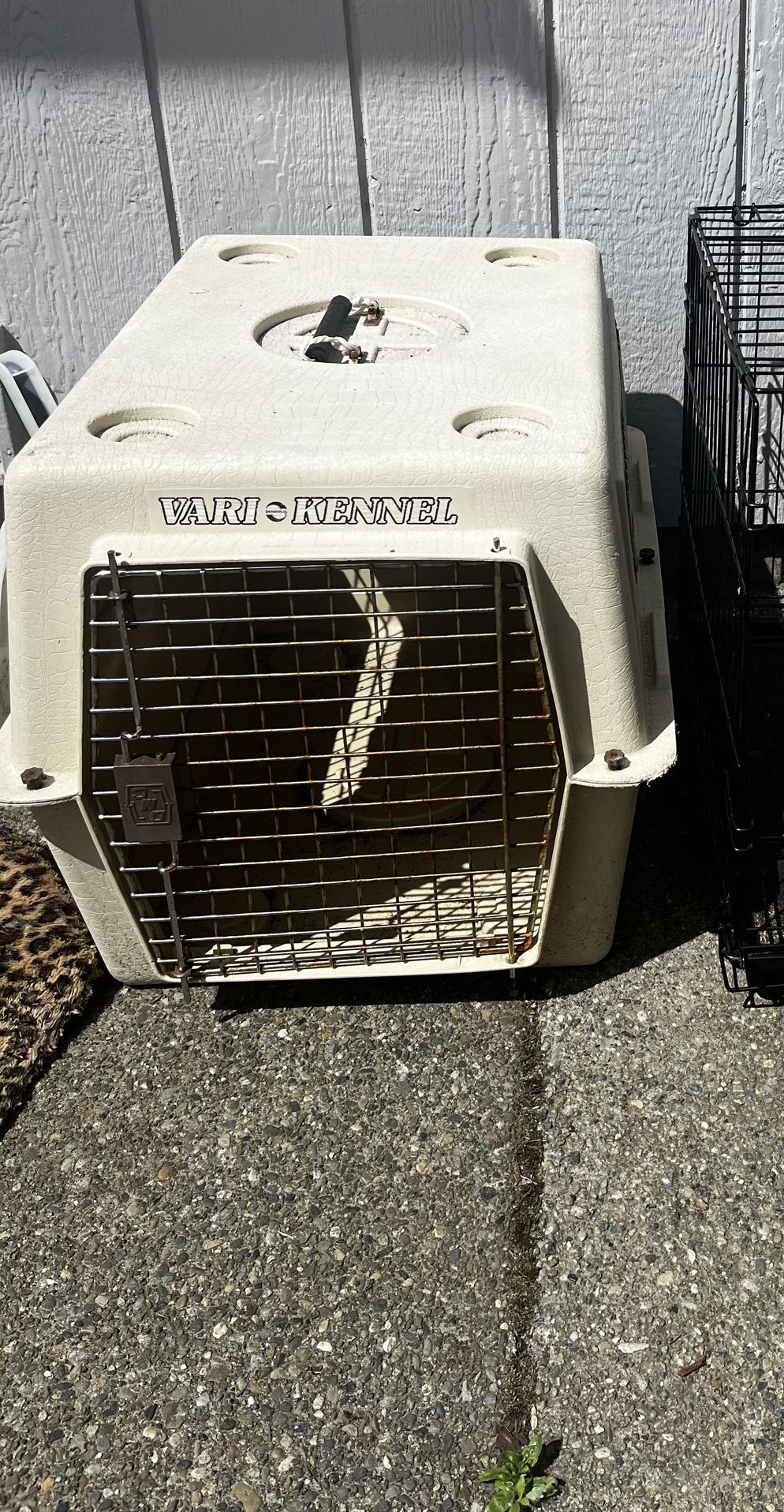 dog crate