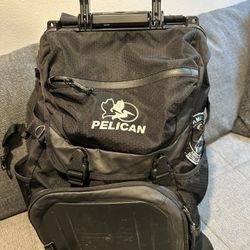 Pelican ProGear Waterproof Backpack Laptop Hard Case