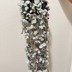 Houseplant String Of Heart Variegated 5”hanging Pot