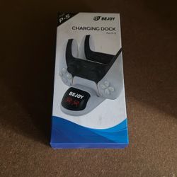 Charging Dock For P5