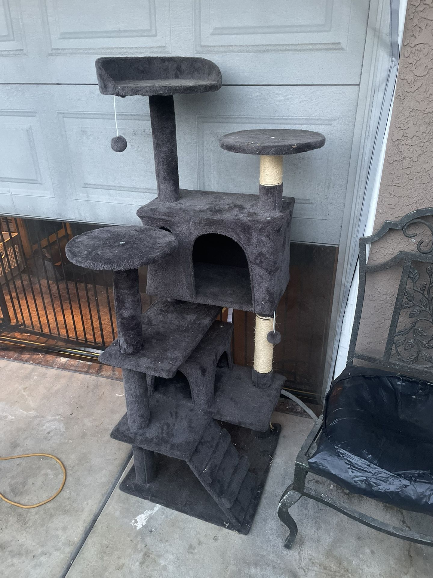 Grey cat climbing Tower