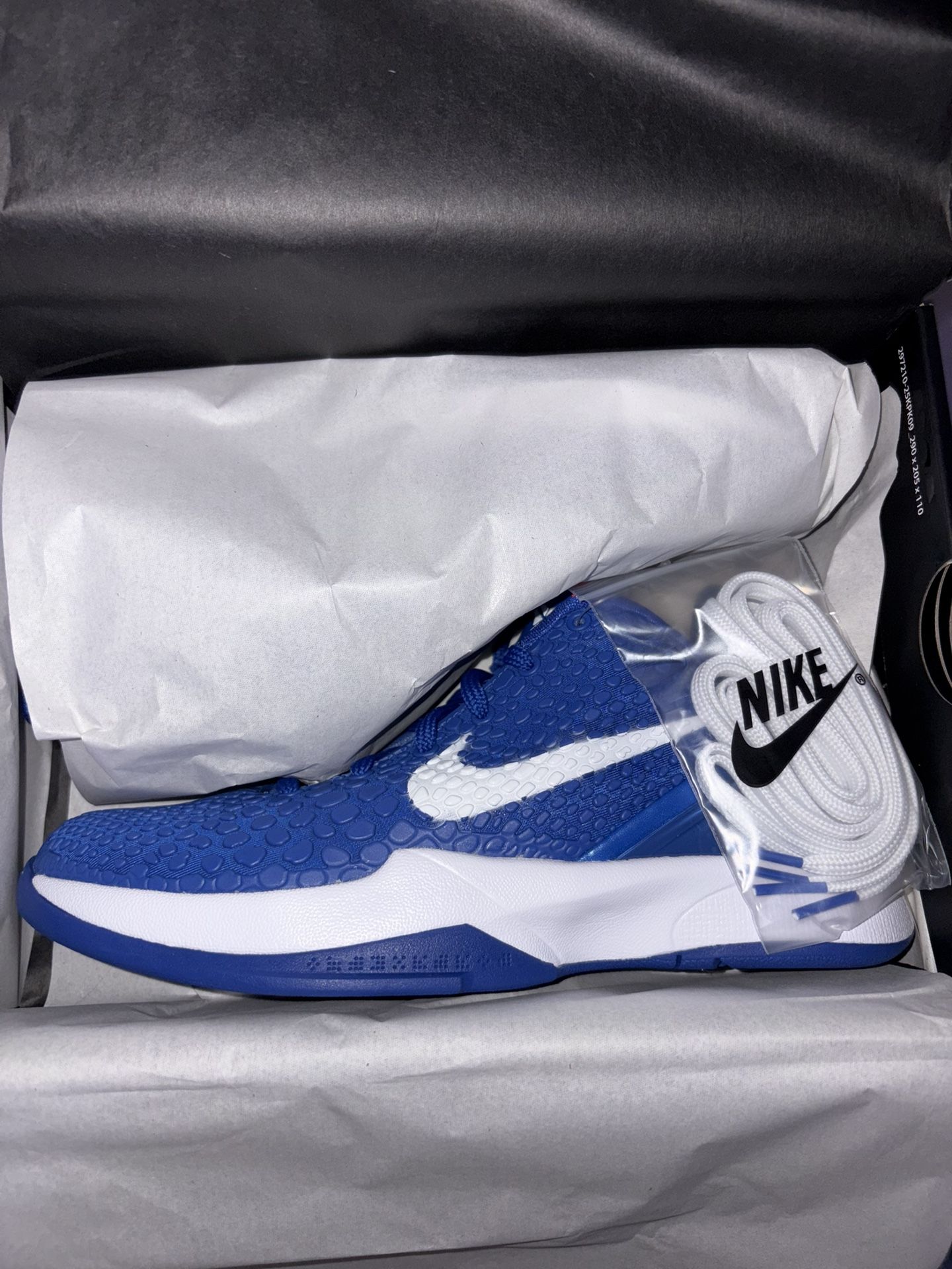 Nike Kobe 6 Protro “Dodgers” GS Size 6.5Y/8W New