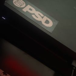 PlayStation 4/ 2 Controllers 