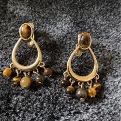 Tigers Eye Earrings