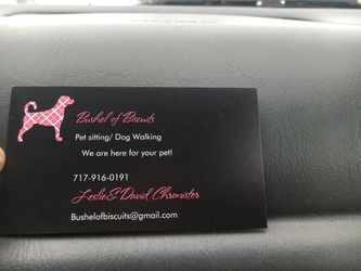 Pet sitting services