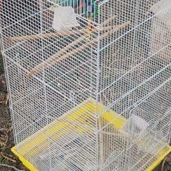 Bird Cage