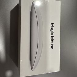 Magic Mouse- New